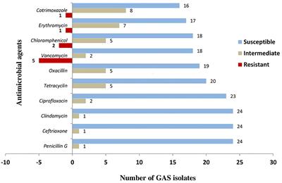 Throat Colonization and Antibiotic Susceptibility of Group a β-Hemolytic Streptococci Among Rheumatic Heart Disease Patients Attending a Cardiac Referral Hospital in Tanzania, a Descriptive Cross-Sectional Study